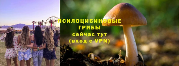spice Алексин