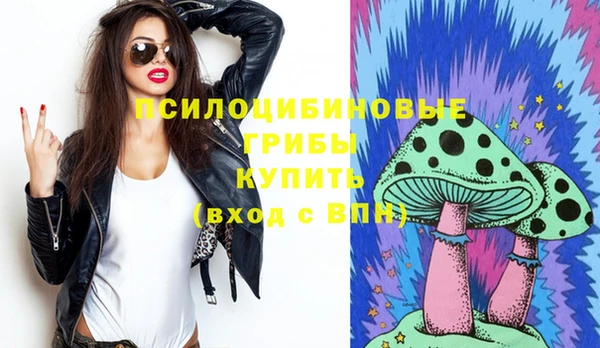 гидропоника Абаза