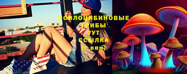 тгк Алзамай